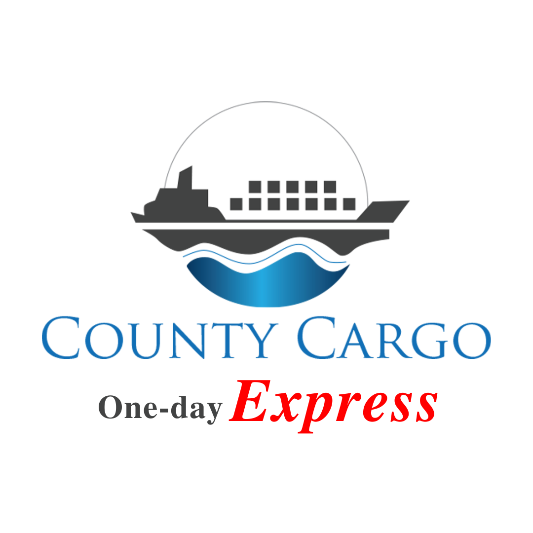 No-Code vs. Low-Code in 2026: Empowering the Future of Development